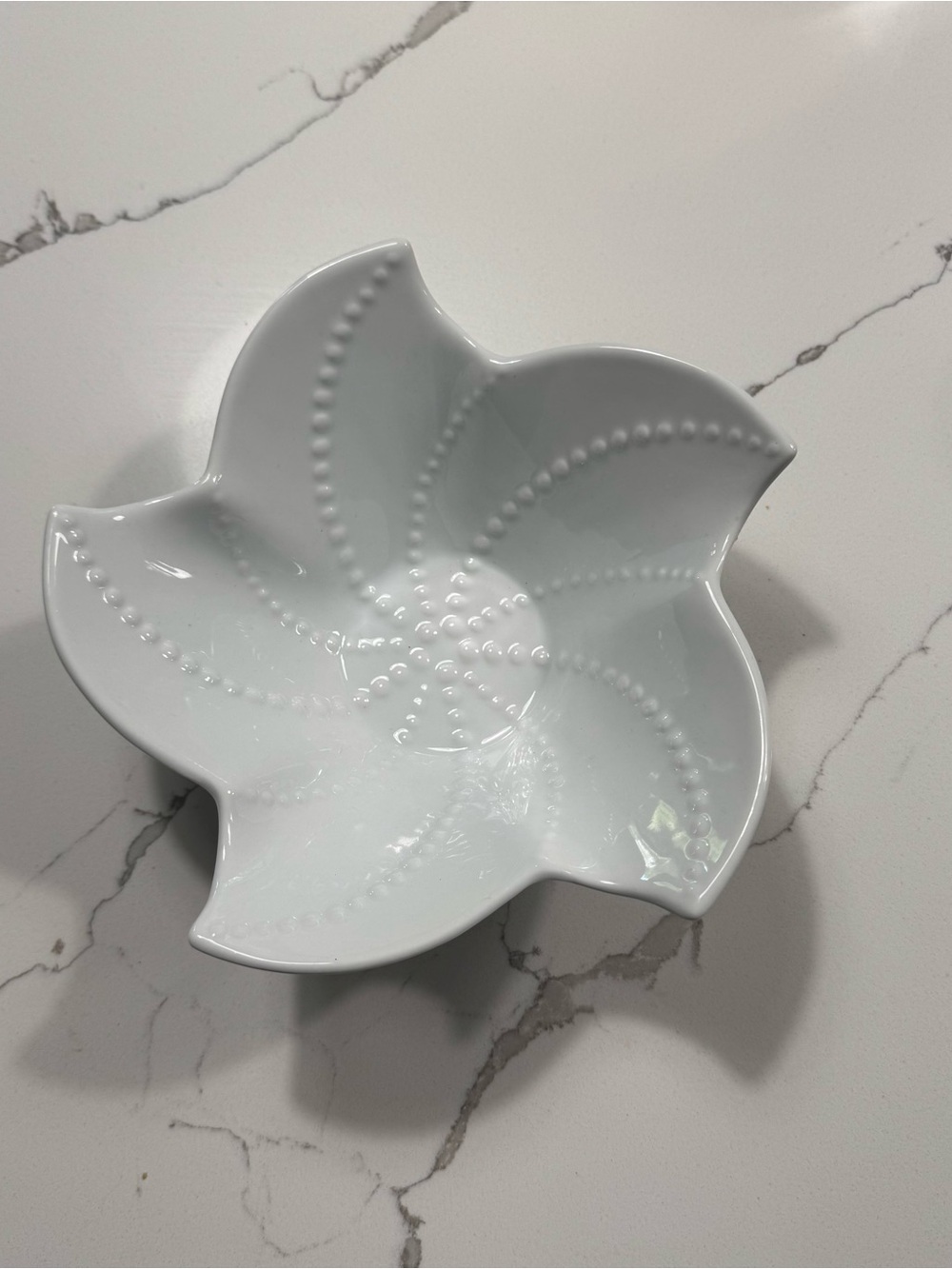 Pottery Barn Seashore StarFish Shaped Serving Bowls Ocean Set of 2 EUC